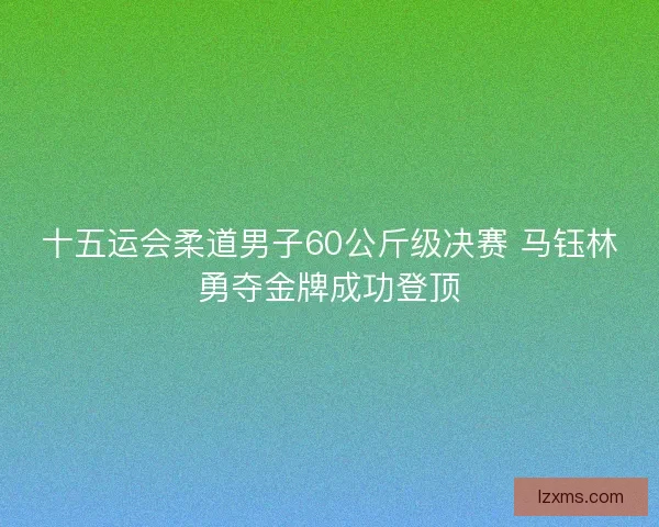 十五运会柔道男子60公斤级决赛 马钰林勇夺金牌成功登顶